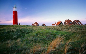 texel_-_copy_1.jpg