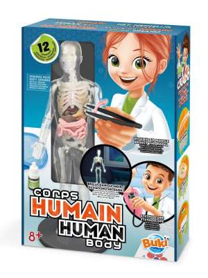 Tudományos készlet - Az emberi test