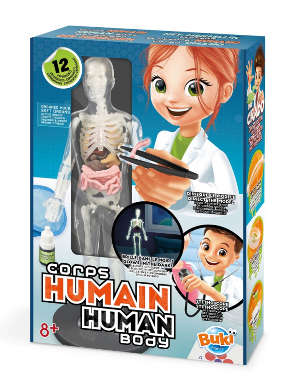 Tudományos készlet - Az emberi test