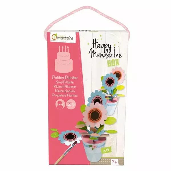 Happy Mandarine Box virágültetés