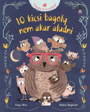 10 kicsi bagoly nem akar aludni