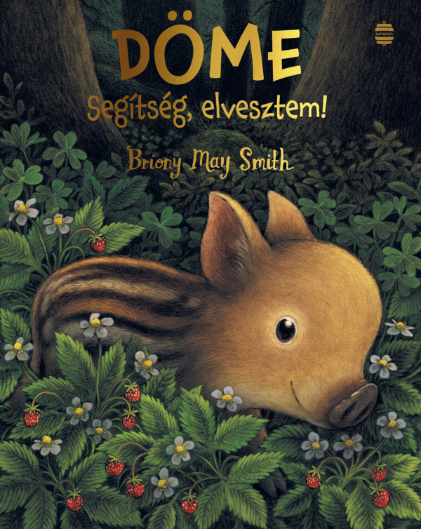 Döme – Segítség, elvesztem!